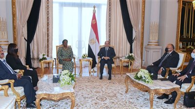 السيسي يبحث مع سكرتير «الكوميسا» تعظيم الاستفادة من اتفاقية التجارة الحرة