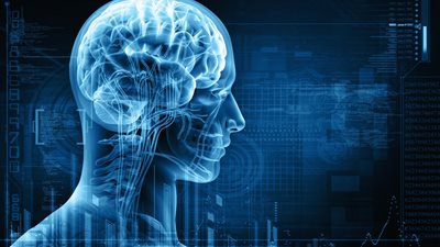 ماذا يحدث للدماغ عند النوم؟