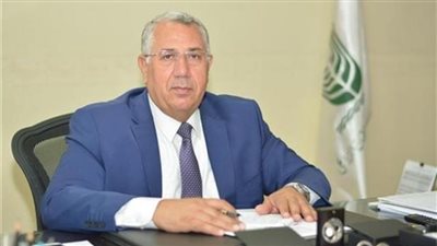 5.2 مليون طن صادرات مصر الزراعية منذ بداية 2021