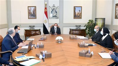 السيسي يوجه بدراسة لتطوير منظومة إنتاج الأسمدة