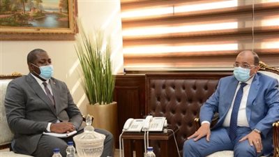 مصر تبحث مع الكاميرون آفاق التعاون في صناعة الأخشاب