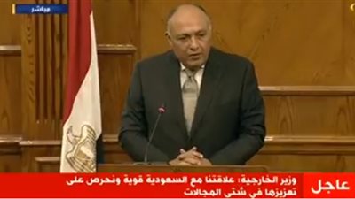 شكري: العلاقات المصرية السعودية لا تحتاج لوساطة (فيديو)