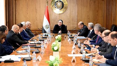 نيفين جامع: وضع خطة شاملة لتطوير قطاع الصناعات النسيجية