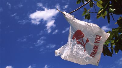 بالفيديو..قانون اوروبي للتخلص من استخدام الاكياس البلاستيكية