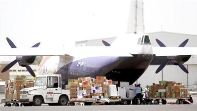 وصول طائرة إغاثة إماراتية إلى 