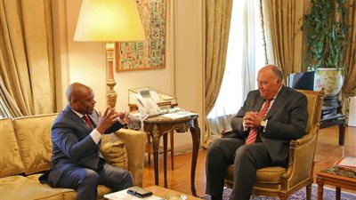 وزير الخارجية يبحث تعزيز العمل المشترك مع منظمة الدول الثماني النامية للتعاون الاقتصادي