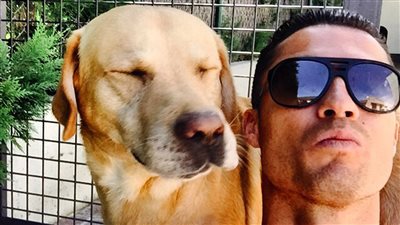 رونالدو يتبرع لإنقاذ 80 كلبًا ضالا