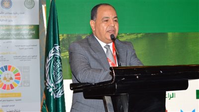 وزير المالية: مصر تمضى بخطى ثابتة على طريق الإصلاح الضريبى