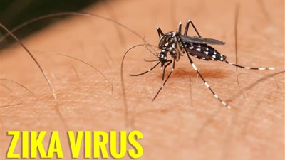 فريق من الباحثين يتوصل لسر تكوين فيروس 