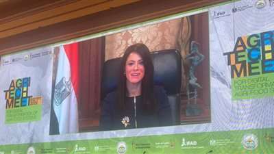 وزيرة التعاون الدولي: التحول الرقمي في قطاع الزراعة ضروري لتعزيز الأمن الغذائي 