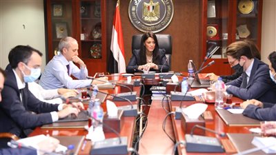 «المشاط» تؤكد الحرص على دور القطاع الخاص لقيادة النمو الاقتصادي