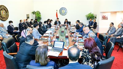 «المشاط» تعقد حوار السياسات السنوي لتعزيز التعاون الاقتصادي المصري الكوري