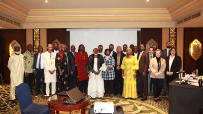 مصر تستضيف 4 دول أفريقية للتعاون في النهوض بالمشروعات الصغيرة 