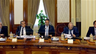 الحكومة: ضم وزيرالاتصالات لعضوية اللجنة العليا للإصلاح الإدارى 