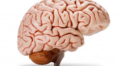 8 حقائق لا تعرفها عن العقل: شلل مؤقت عند الاستيقاظ