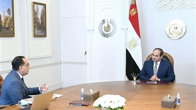 السيسي يطلع على نتائج زيارة الوفد المصري الحكومى إلى الإمارات