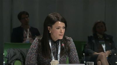 «المشاط» تطالب المؤسسات الدولية بتحفيز القطاع الخاص للمشاركة في تمويل المناخ