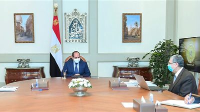 السيسي يوجه بمراعاة توفير الكهرباء لتوسعات مشروع «الدلتا الجديدة»