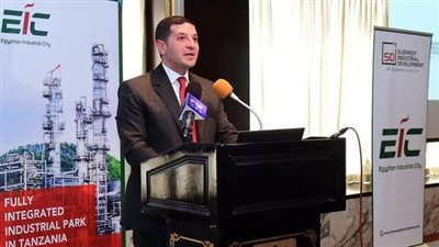 مصر تتفق مع تنزانيا على آلية لتسهيل تبادل البيانات والمعلومات الاستثمارية