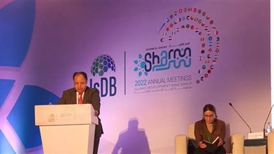 وزير المالية: التحديات الاقتصادية والتغيرات المناخية تفرض التوسع في التمويل الأخضر 