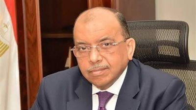 صندوق التنمية المحلية ينفذ 2752 مشروعًا خلال 11 شهرًا بإستثمارات 31.7 مليون جنيه