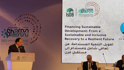 معيط: مصر صوت أفريقيا فى قمة المناخ ومؤتمر سبتمبر لبلورة رؤية موحدة