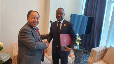 وزير المالية يؤكد الحرص على التوصل لرؤية موحدة لحماية الاقتصادات الأفريقية