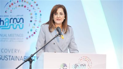 وزيرة التخطيط: أهمية خاصة لنشر ثقافة «السياسات على أساس الأدلة» بالدول النامية