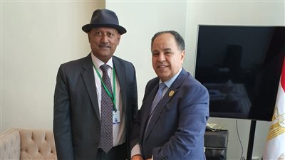 وزير المالية يدعو لإنشاء منصات مشتركة وصناديق تحوط لحماية الاقتصادات الأفريقية