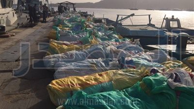 قوات حرس الحدود تدمر 3 أنفاق وتضبط 24 مزرعة لنبات الخشخاش 