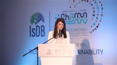 «المشاط»:الشراكات متعددة الأطراف نهجًا لا غنى عنه لتحقيق التنمية المستدامة