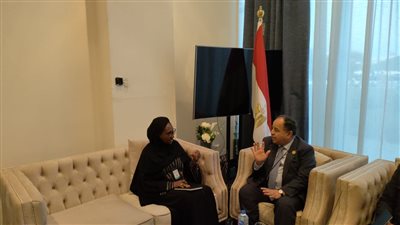 وزير المالية يدعو إلى رؤية أفريقية موحدة فى قضايا التمويل وتغير المناخ