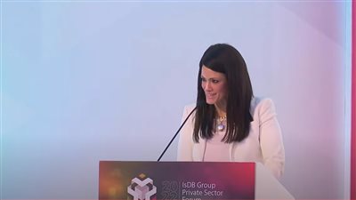 «المشاط»: القطاع الخاص حصل على 5 مليارات دولار من شركاء التنمية خلال عامين