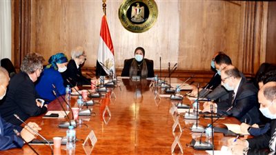 176 مليون دولار قيمة صادرات مصر للسوق اليابانى خلال 5 أشهر