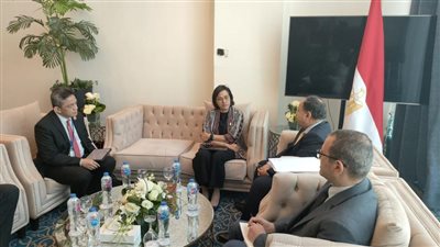 وزيرا مالية مصر و إندونيسيا يبحثان زيادة الاستثمارات المشتركة 
