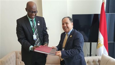 وزير المالية: نسعى لتوفير غطاء تأميني للصادرات المصرية إلى إفريقيا