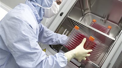 علماء من أستراليا يجدون طريقة لاستبدال الخلايا الجذعية العادية