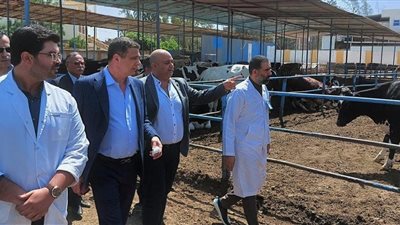 رئيس البنك الزراعي: التوسع في تمويل مشروعات الإنتاج الحيواني