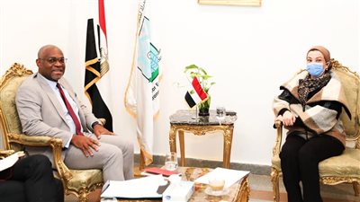 «البيئة» تناقش مع «الفرنسية للتنمية بأفريقيا» تحضيرات مؤتمر المناخ 