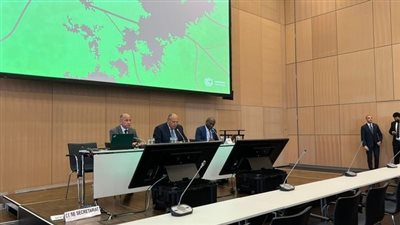 وزير الخارجية يناقش الاستعدادات لـ«COP27» مع مجموعة المفاوضين الأفارقة لتغير المناخ 