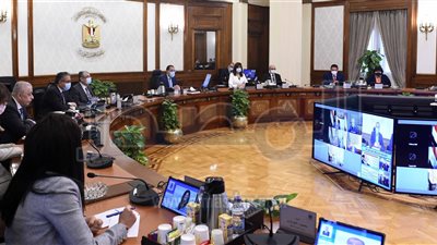 رئيس الوزراء: توطين صناعة الدواء أولوية قصوى.. ونتطلع للتكامل الإفريقي