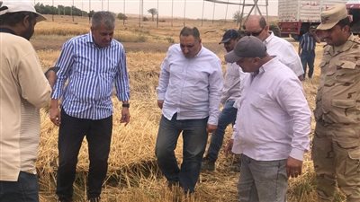 وزير قطاع الأعمال العام يتابع تطور أداء شركة جنوب الوادي بتوشكى 