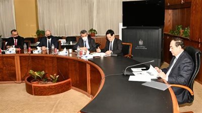 مصر تبحث التعاون مع ميتسوبيشي اليابانية في مجالات الطاقة النظيفة