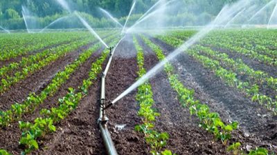 الحكومة توضح حقيقة وجود عجز في مياه الري بالفيوم