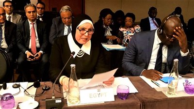 نيفين جامع تطالب برؤية موحدة للحفاظ على المصالح الإفريقية بمنظمة التجارة العالمية