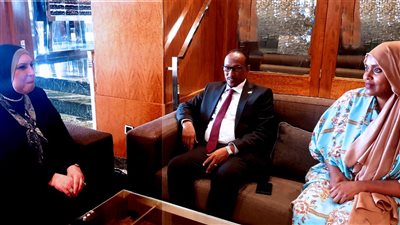 مباحثات مصرية جيبوتية لتعزيز حركة التبادل التجارى بين البلدين