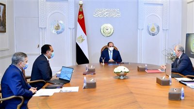 الرئيس السيسي يوجه بتعزيز جهود تنمية الثروة السمكية والحيوانية
