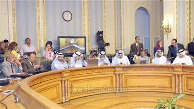 بالانفوجرافيك .. تفاصيل المشروعات التنموية الإماراتية المنفذة فى مصر 