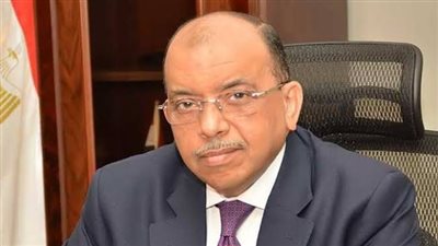 «التنمية المحلية»: تطوير 242 سوقًا عشوائية ورسمية