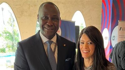 «المشاط» تبحث توطيد العلاقات المشتركة مع مؤسسة التمويل الأفريقية